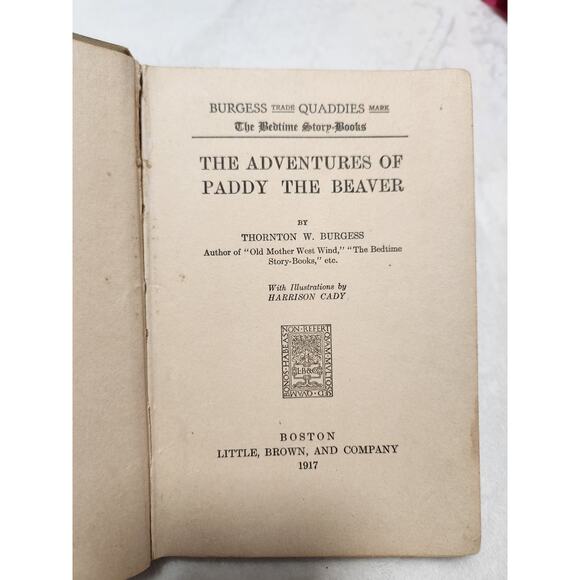 Adventures of Paddy the Beaver - 1917 Hardcover Edition - Picture 4 of 7